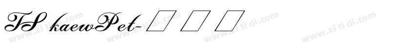 TS kaewPet字体转换
